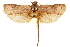  (Thioscelis whalleyi - CCDB-29472-D05)  @11 [ ] CreativeCommons - Attribution (2018) CBG Photography Group Centre for Biodiversity Genomics