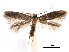  ( - CCDB-29472-D06)  @11 [ ] CreativeCommons - Attribution (2018) CBG Photography Group Centre for Biodiversity Genomics