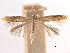  ( - CCDB-29472-E05)  @11 [ ] CreativeCommons - Attribution (2018) CBG Photography Group Centre for Biodiversity Genomics
