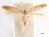  ( - CCDB-29472-E08)  @11 [ ] CreativeCommons - Attribution (2018) CBG Photography Group Centre for Biodiversity Genomics