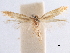  ( - CCDB-29472-F08)  @11 [ ] CreativeCommons - Attribution (2018) CBG Photography Group Centre for Biodiversity Genomics