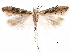  ( - CCDB-29476-C03)  @11 [ ] CreativeCommons - Attribution (2017) CBG Photography Group Centre for Biodiversity Genomics