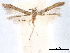  ( - CCDB-29476-F01)  @11 [ ] CreativeCommons - Attribution (2017) CBG Photography Group Centre for Biodiversity Genomics
