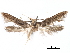  ( - CCDB-29477-E04)  @11 [ ] CreativeCommons - Attribution (2018) CBG Photography Group Centre for Biodiversity Genomics