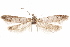  ( - CCDB-29477-F07)  @11 [ ] CreativeCommons - Attribution (2018) CBG Photography Group Centre for Biodiversity Genomics