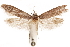  ( - CCDB-29477-F12)  @11 [ ] CreativeCommons - Attribution (2018) CBG Photography Group Centre for Biodiversity Genomics