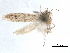  ( - CCDB-29477-H10)  @11 [ ] CreativeCommons - Attribution (2018) CBG Photography Group Centre for Biodiversity Genomics