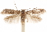  ( - CCDB-29478-F05)  @11 [ ] CreativeCommons - Attribution (2018) CBG Photography Group Centre for Biodiversity Genomics