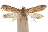  ( - CCDB-29479-A10)  @11 [ ] CreativeCommons - Attribution (2018) CBG Photography Group Centre for Biodiversity Genomics