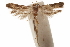  ( - CCDB-29479-B11)  @11 [ ] CreativeCommons - Attribution (2018) CBG Photography Group Centre for Biodiversity Genomics