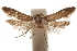  ( - CCDB-29479-C05)  @11 [ ] CreativeCommons - Attribution (2018) CBG Photography Group Centre for Biodiversity Genomics