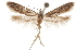  ( - CCDB-29479-E02)  @11 [ ] CreativeCommons - Attribution (2018) CBG Photography Group Centre for Biodiversity Genomics