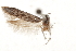  ( - CCDB-29479-E04)  @11 [ ] CreativeCommons - Attribution (2018) CBG Photography Group Centre for Biodiversity Genomics