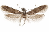  ( - CCDB-29479-F05)  @11 [ ] CreativeCommons - Attribution (2018) CBG Photography Group Centre for Biodiversity Genomics