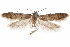  ( - CCDB-29479-G03)  @11 [ ] CreativeCommons - Attribution (2018) CBG Photography Group Centre for Biodiversity Genomics