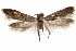  ( - CCDB-29479-G06)  @11 [ ] CreativeCommons - Attribution (2018) CBG Photography Group Centre for Biodiversity Genomics