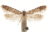  ( - CCDB-29479-G08)  @11 [ ] CreativeCommons - Attribution (2018) CBG Photography Group Centre for Biodiversity Genomics