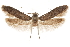  ( - CCDB-29479-H03)  @11 [ ] CreativeCommons - Attribution (2018) CBG Photography Group Centre for Biodiversity Genomics