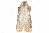  (Thymiatris arista - CCDB-29480-D02)  @11 [ ] CreativeCommons - Attribution (2017) CBG Photography Group Centre for Biodiversity Genomics