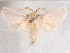  ( - CCDB-29480-F01)  @11 [ ] CreativeCommons - Attribution Non-Commercial Share-Alike (2017) E.H.Metzler Smithsonian Institution National Museum