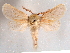  ( - CCDB-29480-F03)  @11 [ ] CreativeCommons - Attribution Non-Commercial Share-Alike (2017) E.H.Metzler Smithsonian Institution National Museum