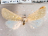  ( - CCDB-29480-G06)  @13 [ ] CreativeCommons - Attribution Non-Commercial Share-Alike (2017) E.H.Metzler Smithsonian Institution National Museum