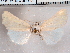  ( - CCDB-29480-G07)  @13 [ ] CreativeCommons - Attribution Non-Commercial Share-Alike (2017) E.H.Metzler Smithsonian Institution National Museum