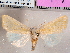  ( - CCDB-29480-H09)  @14 [ ] CreativeCommons - Attribution Non-Commercial Share-Alike (2017) E.H.Metzler Smithsonian Institution National Museum