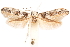  ( - CCDB-30810-B02)  @11 [ ] CreativeCommons - Attribution (2018) CBG Photography Group Centre for Biodiversity Genomics