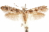  ( - CCDB-30810-B03)  @11 [ ] CreativeCommons - Attribution (2018) CBG Photography Group Centre for Biodiversity Genomics