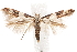  ( - CCDB-30810-B10)  @11 [ ] CreativeCommons - Attribution (2018) CBG Photography Group Centre for Biodiversity Genomics