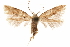  ( - CCDB-30810-C05)  @11 [ ] CreativeCommons - Attribution (2018) CBG Photography Group Centre for Biodiversity Genomics