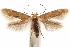  ( - CCDB-30810-C06)  @11 [ ] CreativeCommons - Attribution (2018) CBG Photography Group Centre for Biodiversity Genomics