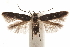  ( - CCDB-30810-E09)  @11 [ ] CreativeCommons - Attribution (2018) CBG Photography Group Centre for Biodiversity Genomics