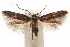  ( - CCDB-30810-E10)  @11 [ ] CreativeCommons - Attribution (2018) CBG Photography Group Centre for Biodiversity Genomics