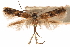  ( - CCDB-30810-F01)  @11 [ ] CreativeCommons - Attribution (2018) CBG Photography Group Centre for Biodiversity Genomics