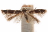  (Elachista scopulicola - CCDB-30810-F11)  @11 [ ] CreativeCommons - Attribution (2018) CBG Photography Group Centre for Biodiversity Genomics