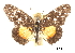  ( - CCDB-30814-A09)  @12 [ ] CreativeCommons - Attribution (2017) Jacopo Dercole Centre for Biodiversity Genomics