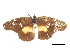  ( - CCDB-30814-A11)  @11 [ ] CreativeCommons - Attribution (2017) Jacopo Dercole Centre for Biodiversity Genomics