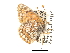  ( - CCDB-30814-B03)  @12 [ ] CreativeCommons - Attribution (2017) Jacopo Dercole Centre for Biodiversity Genomics