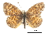  ( - CCDB-30814-C06)  @13 [ ] CreativeCommons - Attribution (2017) Jacopo Dercole Centre for Biodiversity Genomics