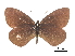  ( - CCDB-30814-H11)  @11 [ ] CreativeCommons - Attribution (2017) Jacopo Dercole Centre for Biodiversity Genomics