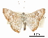  ( - CCDB-30815-C05)  @11 [ ] CreativeCommons - Attribution (2017) Jacopo Dercole Centre for Biodiversity Genomics