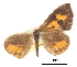 ( - CCDB-30815-G07)  @11 [ ] CreativeCommons - Attribution (2017) Jacopo Dercole Centre for Biodiversity Genomics