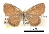  ( - CCDB-30815-H01)  @11 [ ] CreativeCommons - Attribution (2017) Jacopo Dercole Centre for Biodiversity Genomics