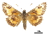  ( - CCDB-30816-H08)  @11 [ ] CreativeCommons - Attribution (2017) Jacopo Dercole Centre for Biodiversity Genomics