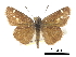  ( - CCDB-30817-C11)  @11 [ ] CreativeCommons - Attribution (2017) Jacopo Dercole Centre for Biodiversity Genomics