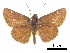  ( - CCDB-30817-D02)  @11 [ ] CreativeCommons - Attribution (2017) Jacopo Dercole Centre for Biodiversity Genomics
