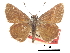  ( - CCDB-30817-D03)  @11 [ ] CreativeCommons - Attribution (2017) Jacopo Dercole Centre for Biodiversity Genomics