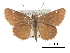  ( - CCDB-30817-D05)  @11 [ ] CreativeCommons - Attribution (2017) Jacopo Dercole Centre for Biodiversity Genomics